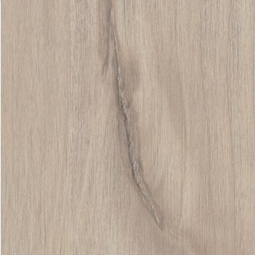 R36002 - Panama Alder