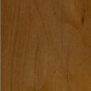 R55012 - Taxus Brown